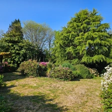 Maison au calme sur 3300 m2 de terrain arboré