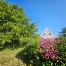 Maison au calme sur 3300 m2 de terrain arboré