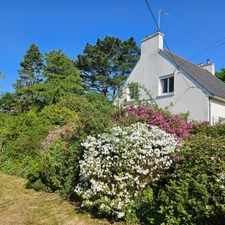 Maison au calme sur 3300 m2 de terrain arboré
