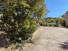 En CORSE, proche AJACCIO, aux portes du village d'AFA, grande maison familiale de 168m2,  terrain arborés de 2300 m2