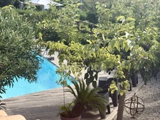 CAGNES SUR MER (06), Villa de caractère avec vue mer, piscine et jardin méditerranéen, quartier résidentiel calme