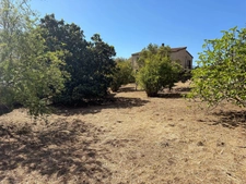 En CORSE, proche AJACCIO, aux portes du village d'AFA, grande maison familiale de 168m2,  terrain arborés de 2300 m2