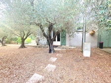 Maison de caractère atypique et unique de plain pied avec terrain arboré 
