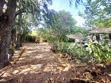 Maison familiale de charme, 6 pièces piscine, terrain