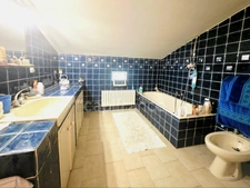 Maison familiale de charme, 6 pièces piscine, terrain