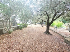 Maison de caractère atypique et unique de plain pied avec terrain arboré 