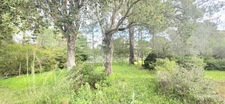 Terrain à vendre de 1 000,00 m² LECCI (20)