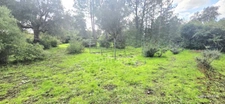Terrain à vendre de 1 000,00 m² LECCI (20)