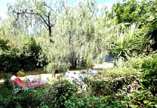 Maison familiale de charme, 6 pièces piscine, terrain