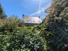 BUBRY PROPRIÉTÉ COMPOSÉE D' UNE BELLE MAISON BOURGEOISE DE 6 PIÈCES  215 M² ENVIRON GARAGE ET DÉPENDANCE PARCELLE DE 4160M² EN PARTIE AMÉNAGEABLE