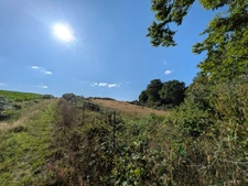 Séglien en campagne longère en pierre rénovée avec vie de plain pied de 243m², garage, atelier et dépendance parcelle de 7125m²