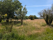 MELRAND MAISON 3 PIECES EN REZ DE CHAUSSEE SURELEVE PARCELLE DE 3109M² CLOTURE AVEC DEPENDANCE ET PUITS