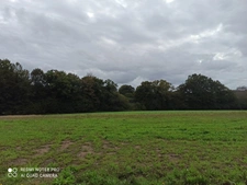 Dpt Morbihan (56), à vendre LOCMALO terrain 