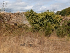 NOSTANG PROPRIÉTÉ COMPOSÉE D'UNE MAISON EN PIERRE À RÉNOVER AVEC TROIS DÉPENDANCE UN PUITS ET 21 HECTARES ENVIRON