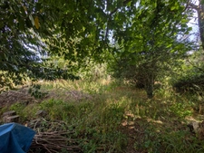 GUEMENE SUR SCORFF MAISON BOURGEOISE  7 PIÈCES 185 M² ENVIRON AVEC GARAGE ET DÉPENDANCES,UN PUITS UNE PARCELLE DE 3706M² 