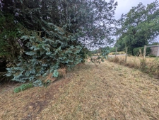 PLOUAY EN CAMPAGNE ENSEMBLE IMMOBILIER COMPOSÉ D' UNE MAISON DE 45M² HABITABLE, UNE GRANGE DE 33 M², UN BÂTIMENT EN PIERRE DE 91 M² UNE PARCELLE DE 711m² ENVRION.