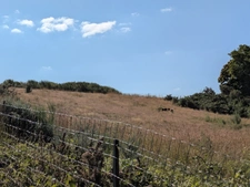 Séglien en campagne longère en pierre rénovée avec vie de plain pied de 243m², garage, atelier et dépendance parcelle de 7125m²