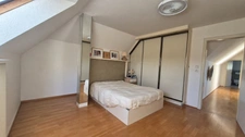 House for sale, 7 rooms, Strasbourg Sud - ICHTRATZHEIM (67)