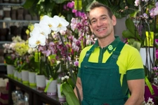 Fonds de commerce à vendre proche de TOULOUSE (31) - Cession d'une boutique de fleurs avec une activité  d'espace vert. EBE: 70 000 euros - coeur de bourg