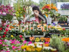 Fonds de commerce à vendre proche de TOULOUSE (31) - Cession d'une boutique de fleurs avec une activité  d'espace vert. EBE: 70 000 euros - coeur de bourg