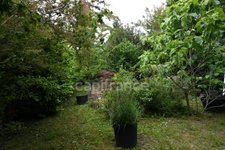 House for sale, 4 rooms, CHAULGNES (58)