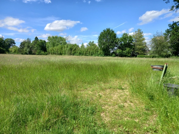 Dpt Cher (18), à vendre SANCOINS terrain 