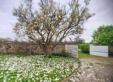 LONGERE 2 CHAMBRES SAINT AOUT (36)