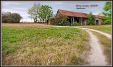 Propriete MAISON BOIS PRAIRIES BUZANCAIS (36)