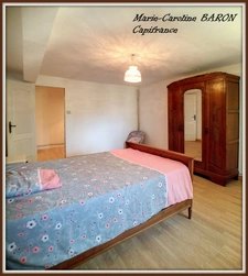 Indre (36),aux portes de la touraine, LUCAY LE MALE maison 450 m² jardin de 4 482,00 m² 