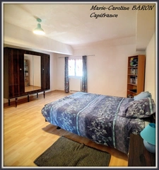Indre (36),aux portes de la touraine, LUCAY LE MALE maison 450 m² jardin de 4 482,00 m² 