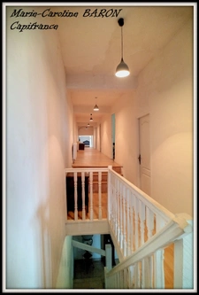 Indre (36),aux portes de la touraine, LUCAY LE MALE maison 450 m² jardin de 4 482,00 m² 