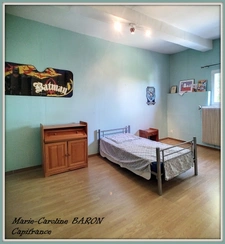 Indre (36),aux portes de la touraine, LUCAY LE MALE maison 450 m² jardin de 4 482,00 m² 