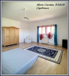 Indre (36),aux portes de la touraine, LUCAY LE MALE maison 450 m² jardin de 4 482,00 m² 
