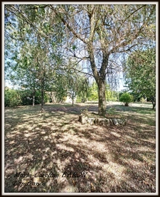 Indre (36),aux portes de la touraine, LUCAY LE MALE maison 450 m² jardin de 4 482,00 m² 