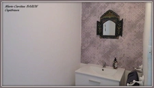 Indre (36),aux portes de la touraine, LUCAY LE MALE maison 450 m² jardin de 4 482,00 m² 