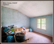 Propriete MAISON BOIS PRAIRIES BUZANCAIS (36)