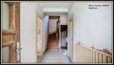 Propriete MAISON BOIS PRAIRIES BUZANCAIS (36)
