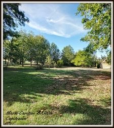 Indre (36),aux portes de la touraine, LUCAY LE MALE maison 450 m² jardin de 4 482,00 m² 