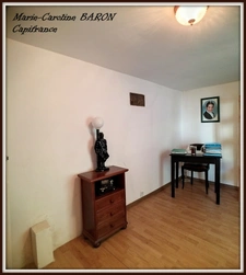 Indre (36),aux portes de la touraine, LUCAY LE MALE maison 450 m² jardin de 4 482,00 m² 