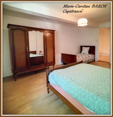 Indre (36),aux portes de la touraine, LUCAY LE MALE maison 450 m² jardin de 4 482,00 m² 