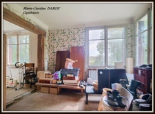 Propriete MAISON BOIS PRAIRIES BUZANCAIS (36)