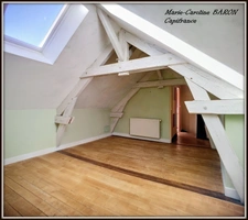 BUZANCAIS (36)maison atypique 3 chambres grandes surfaces