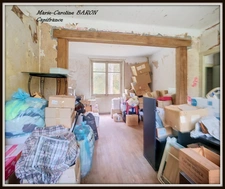Propriete MAISON BOIS PRAIRIES BUZANCAIS (36)