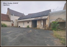 Immeubles pour investissement  BUZANCAIS (36)