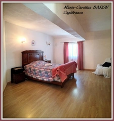 Indre (36),aux portes de la touraine, LUCAY LE MALE maison 450 m² jardin de 4 482,00 m² 