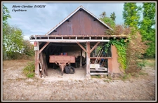 Propriete MAISON BOIS PRAIRIES BUZANCAIS (36)
