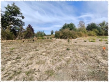 ENSEMBLE FONCIER DE 8 008 M² AVEC ACCÈS DIRECT AU CHER – PREUILLY (18120)