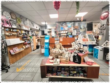 À VENDRE – Fonds de commerce Fleurs / Loto / Presse avec appartement – Emplacement n°1 – Nérondes