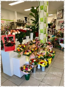 Fonds de commerce à vendre MEHUN SUR YEVRE (18)