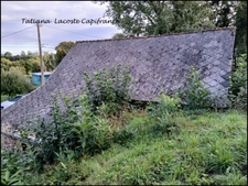 Grange à rénover